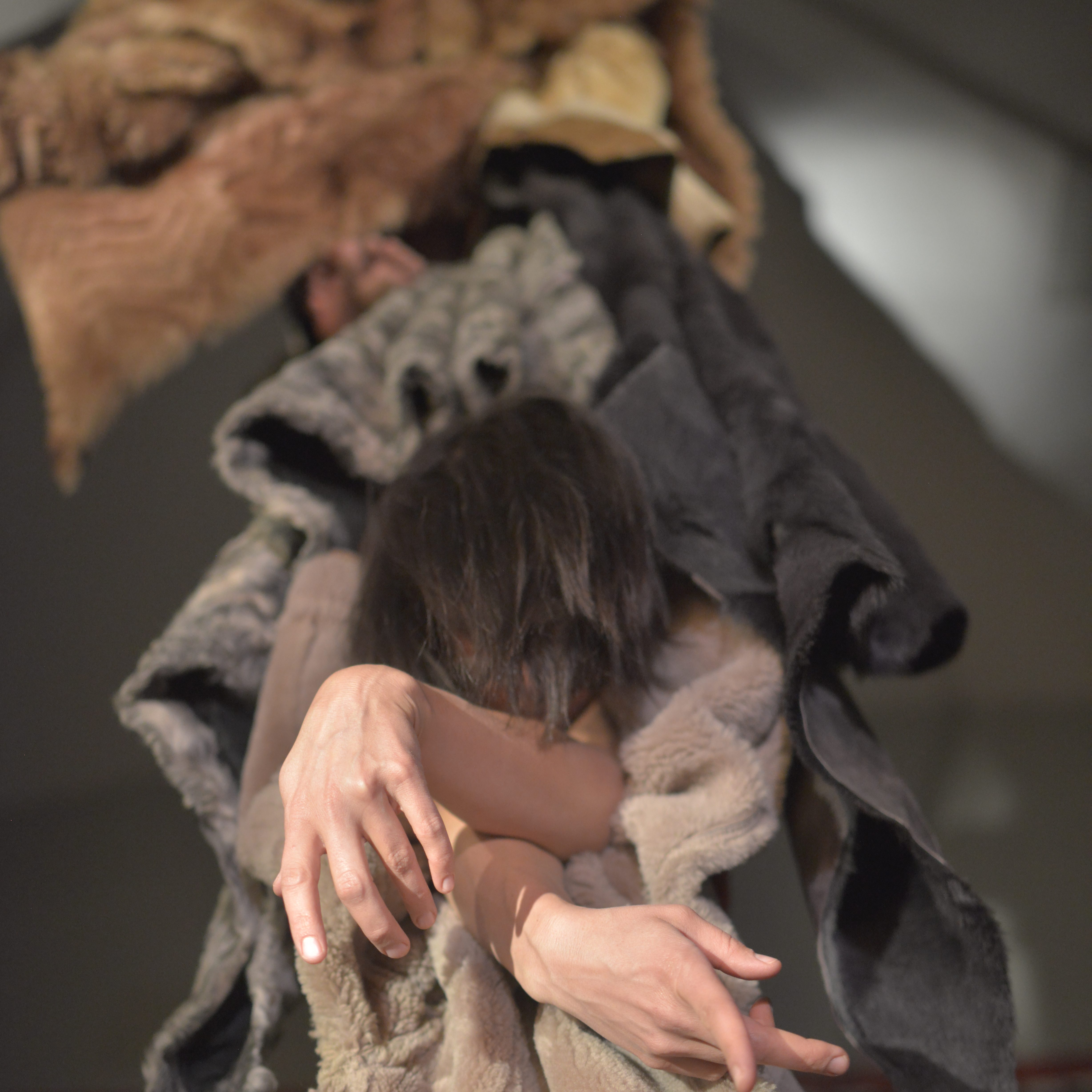 Cie Toron Blues ©Joao Pereira Dos Santos