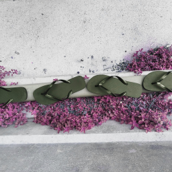 Arête de trottoir sur lequel sur disposé des fleurs roses et alignées des tongs noires.