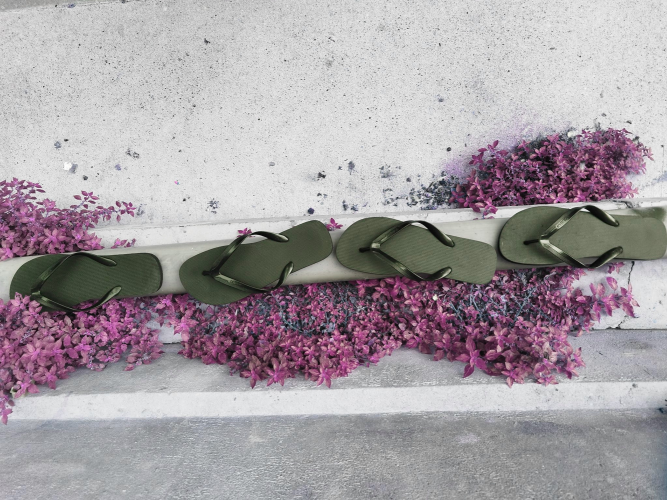 Arête de trottoir sur lequel sur disposé des fleurs roses et alignées des tongs noires.