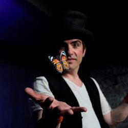 Un magicien tend la main et fait voler un papillon orange au-dessus de sa paume. Il le regarde.